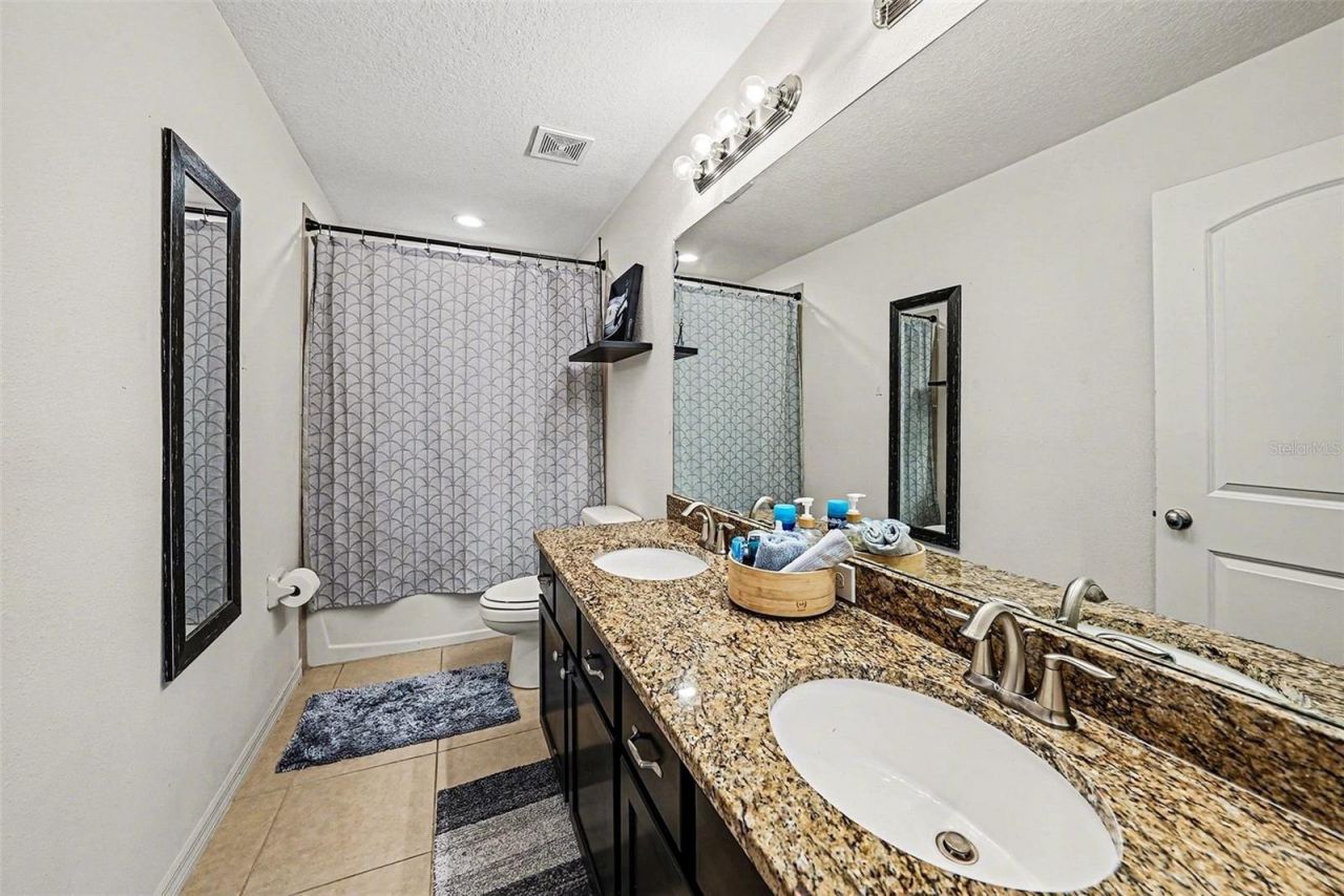 12530 Ballentrae Forest Drive, Riverview, FL 33579 Photo