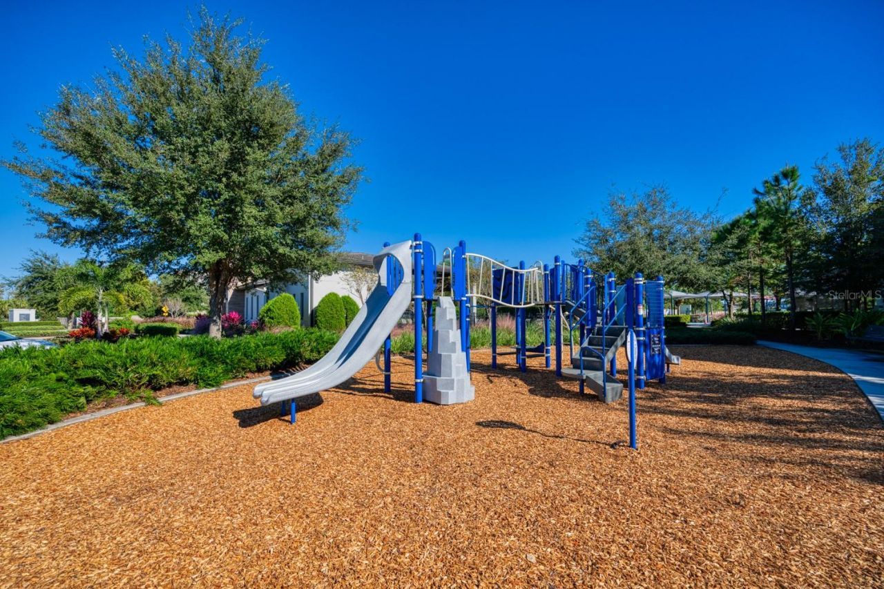 7536 Alpine Butterfly Lane, Orlando, FL 32819 Photo