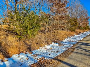 Lot #1356 Champion Drive, Sunrise Beach, MO 65079