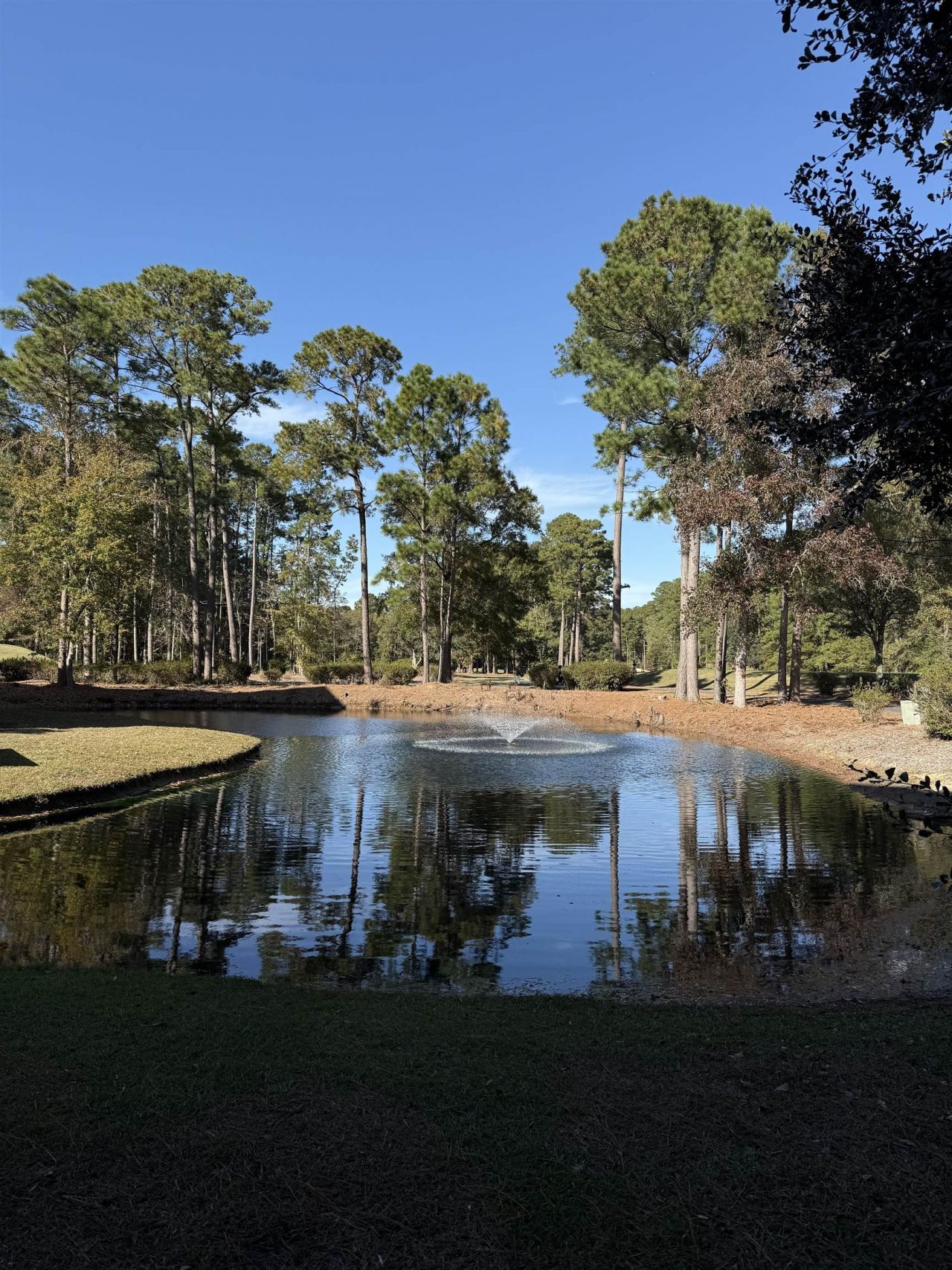 5828 Longwood Dr. Photo 17