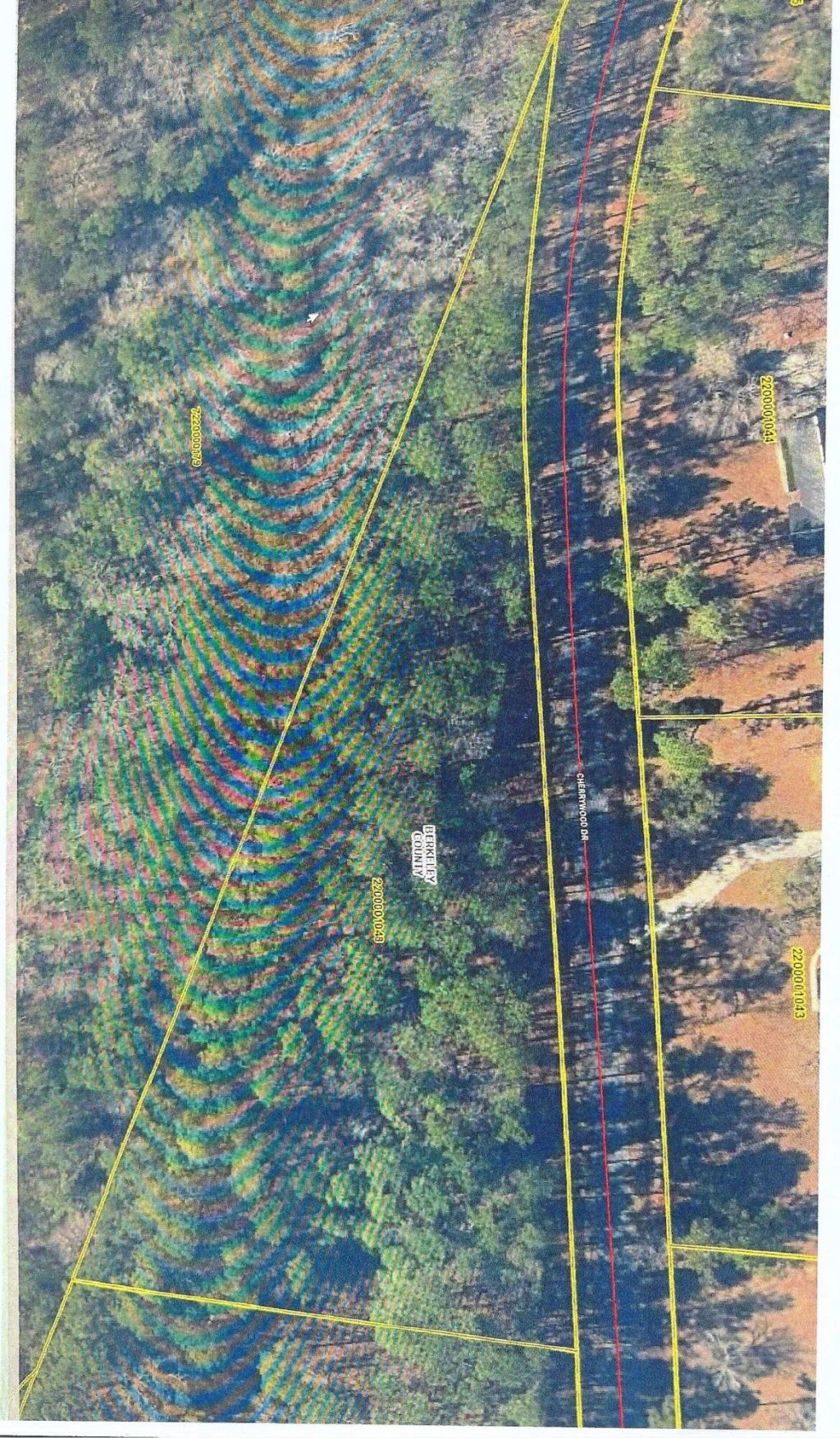 117 Cherrywood Drive Photo 2