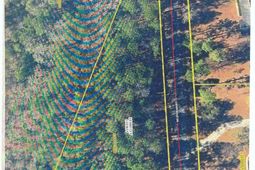 117 Cherrywood Drive photo 4