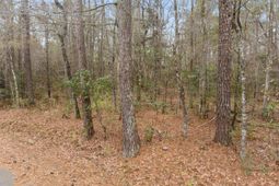 117 Cherrywood Drive photo 4