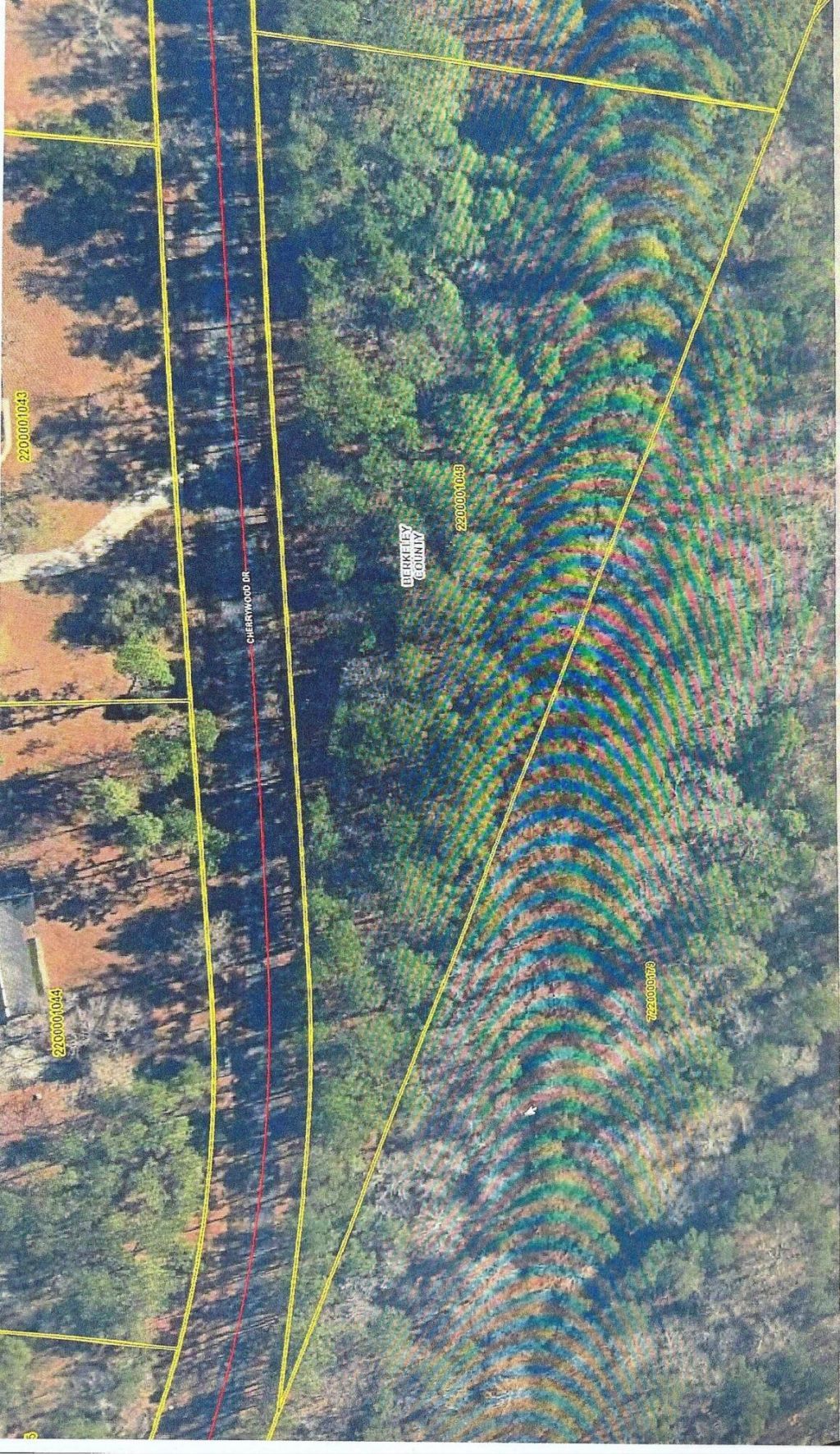 117 Cherrywood Drive Photo 4