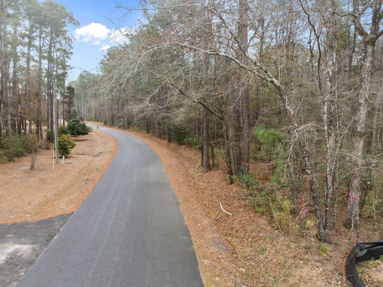 117 Cherrywood Drive Photo 6