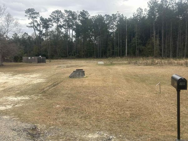 31618 Ferina Ln, Albany, LA 70711