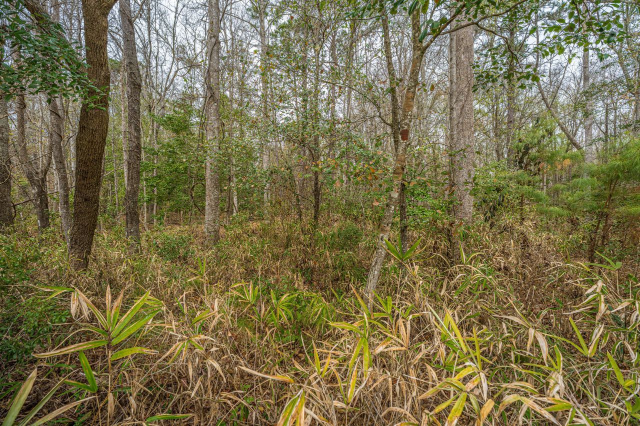 3808 Tupelo Branch Row Photo 32