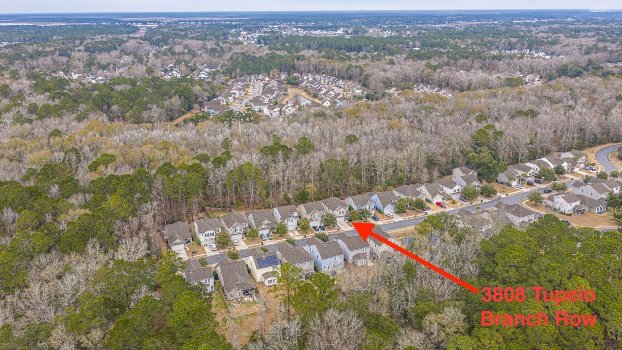 3808 Tupelo Branch Row Photo 36