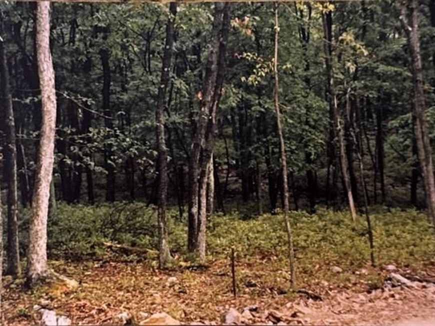 Lot 135 & 136 Corn Silk Ave., Hazle Township, PA 18201 Main Photo