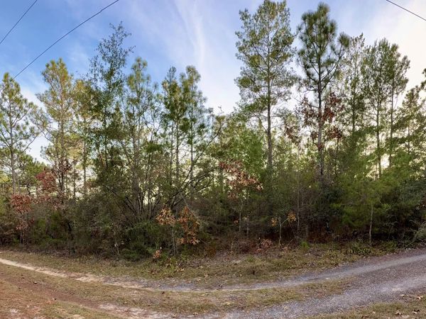 Lots 9-11 Tangerine & Lot 2 Girl Scout, DeFuniak Springs, FL 32433