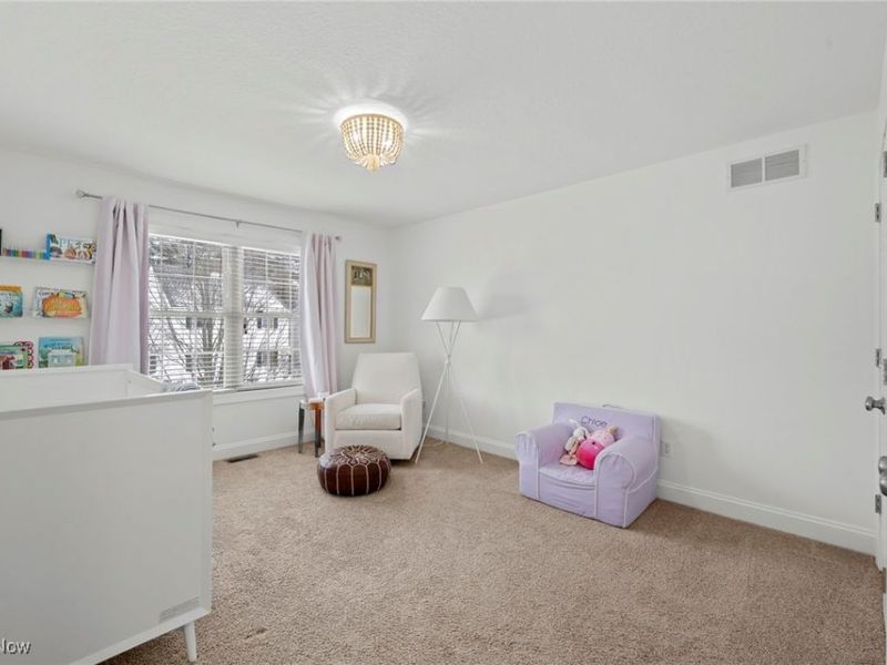 7590 Woodland Avenue, Hudson, OH 44236 Photo 25