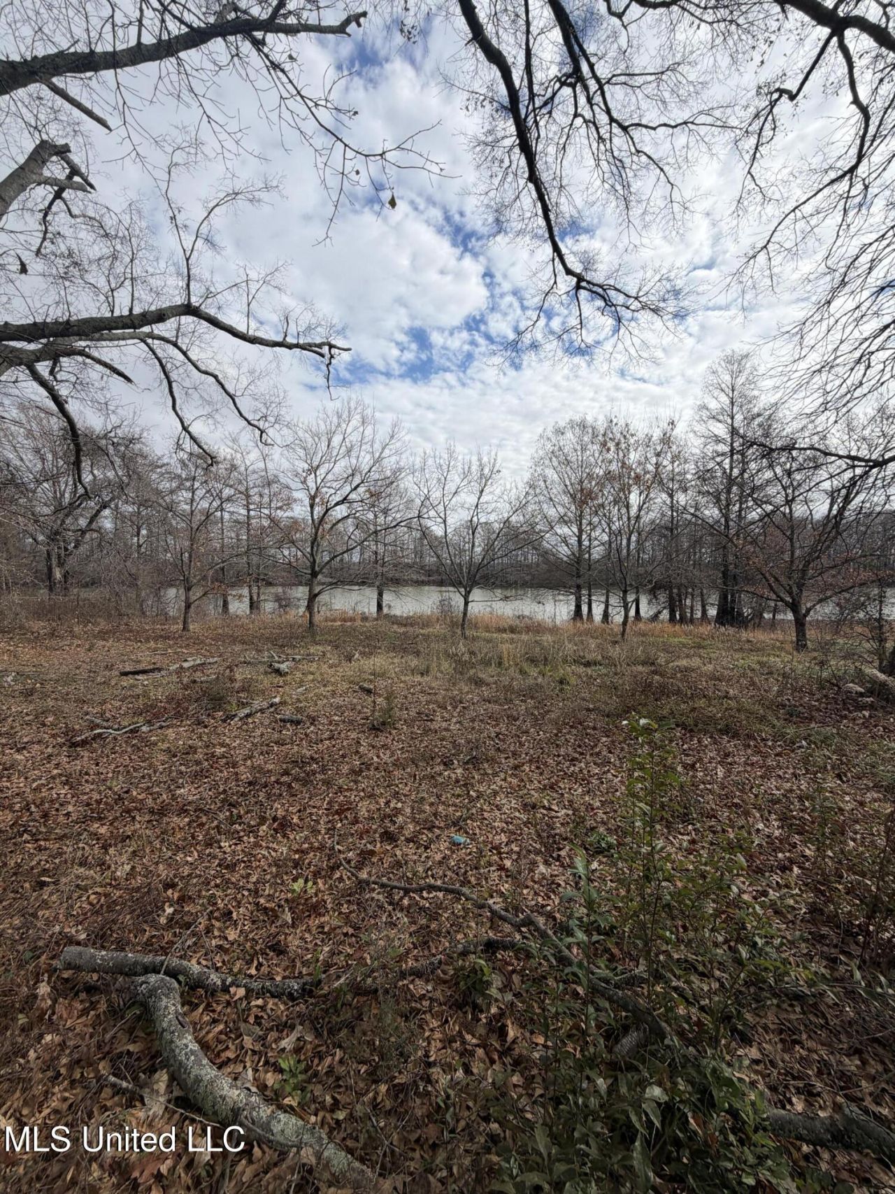 Lakeshore Drive Street, Itta Bena, MS 38941 Main Photo