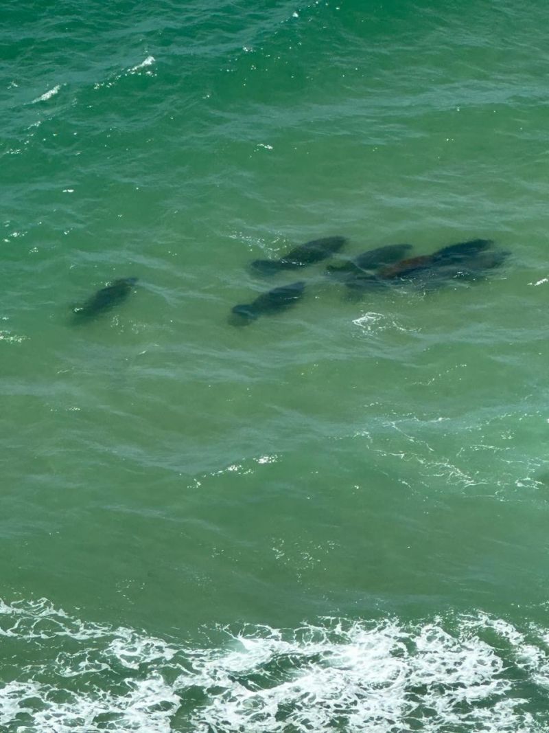 4280 Galt Ocean Drive, Unit 29C, Fort Lauderdale, FL 33308 Photo