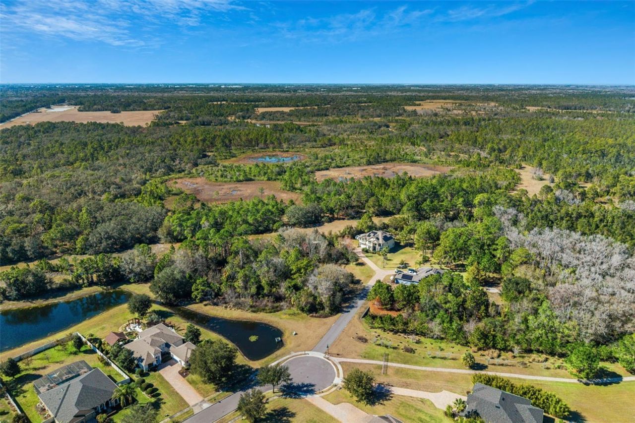 3652 Oriskany Drive, Orlando, FL 32820 Photo