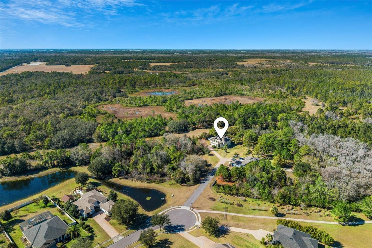 3652 Oriskany Drive, Orlando, FL 32820 Photo