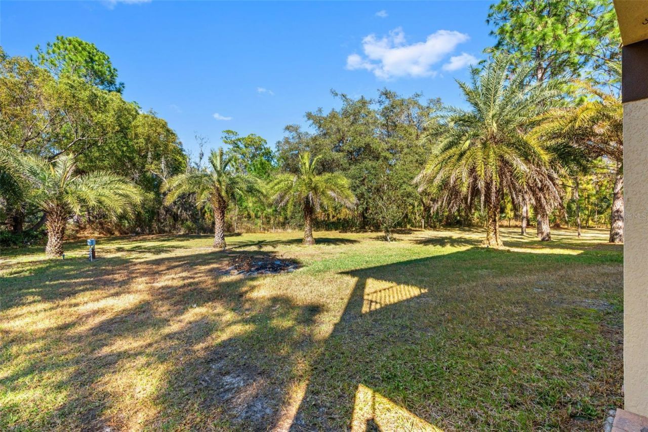 3652 Oriskany Drive, Orlando, FL 32820 Photo