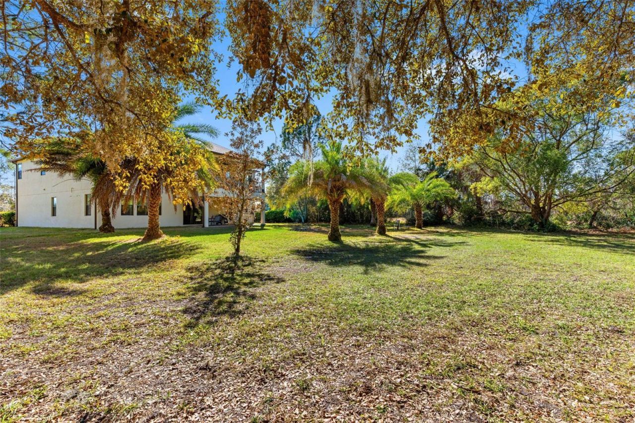 3652 Oriskany Drive, Orlando, FL 32820 Photo