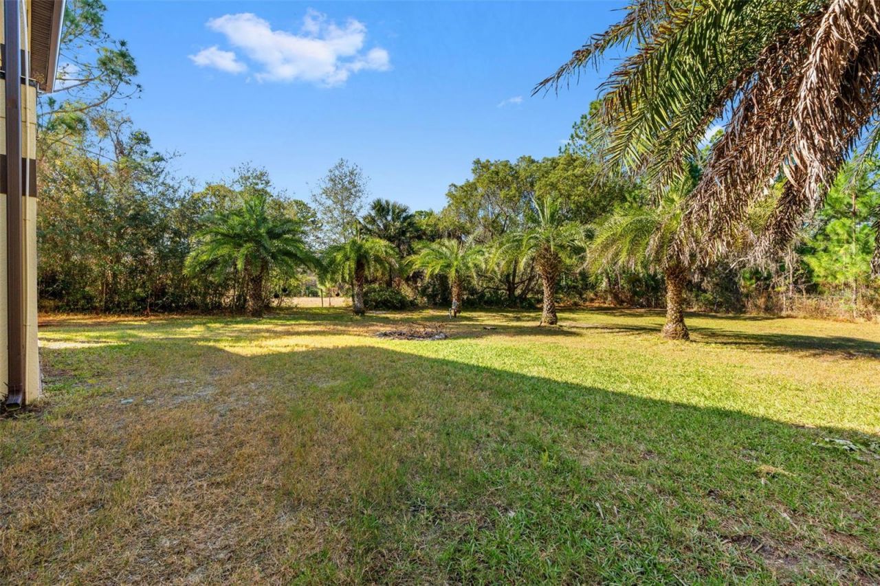 3652 Oriskany Drive, Orlando, FL 32820 Photo