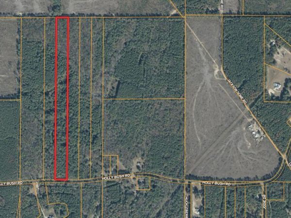 0000 Holly Bush Road, Pelahatchie, MS 39145