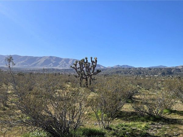 105 th E Ave V8 & 106th E, Pearblossom, CA 93553