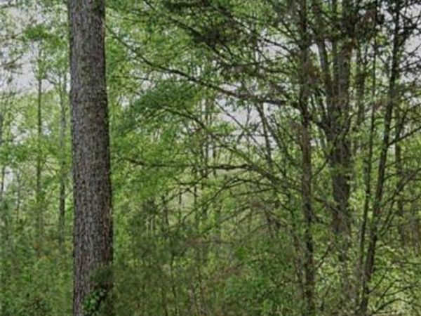 3023 Valley View Drive SW, Powder Springs, GA 30127