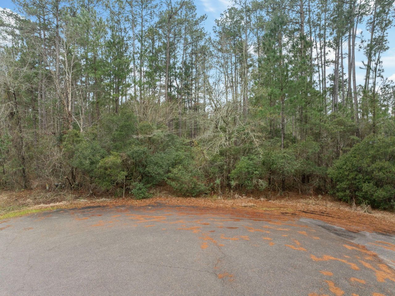 200 Yearling Drive Photo 15