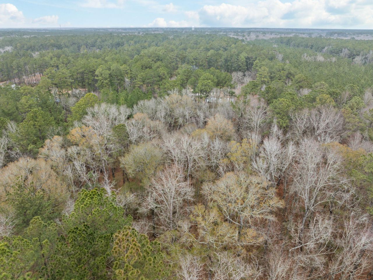 200 Yearling Drive Photo 7