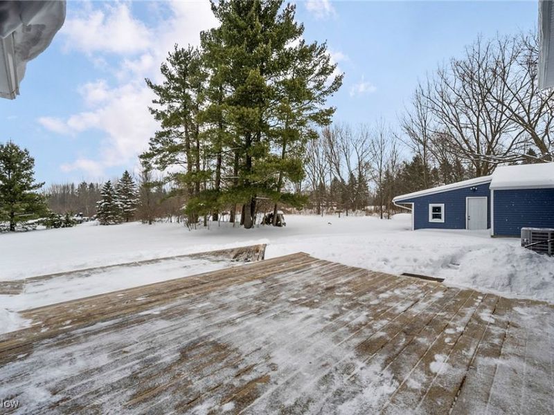 10831 Chillicothe Road, Kirtland, OH 44094 Photo 37