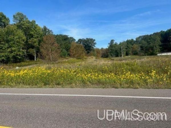 Lot 2 Lake Antoine Road, Iron Mountain, MI 49801