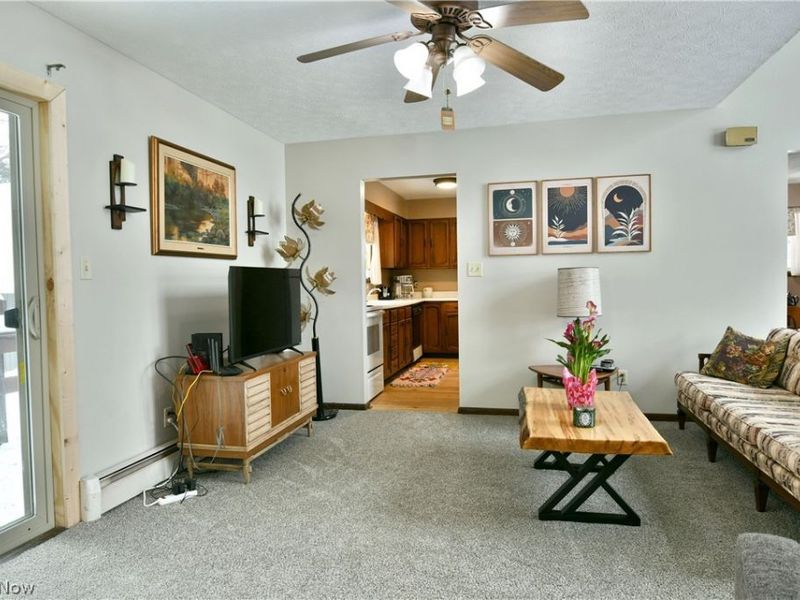 3894 Nelson Mosier Road, Leavittsburg, OH 44430 Photo 23