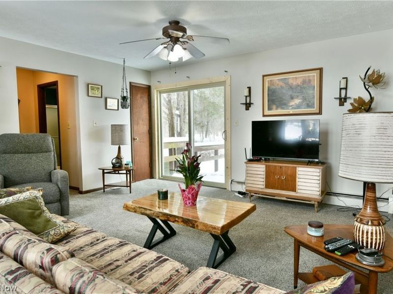 3894 Nelson Mosier Road, Leavittsburg, OH 44430 Photo 24