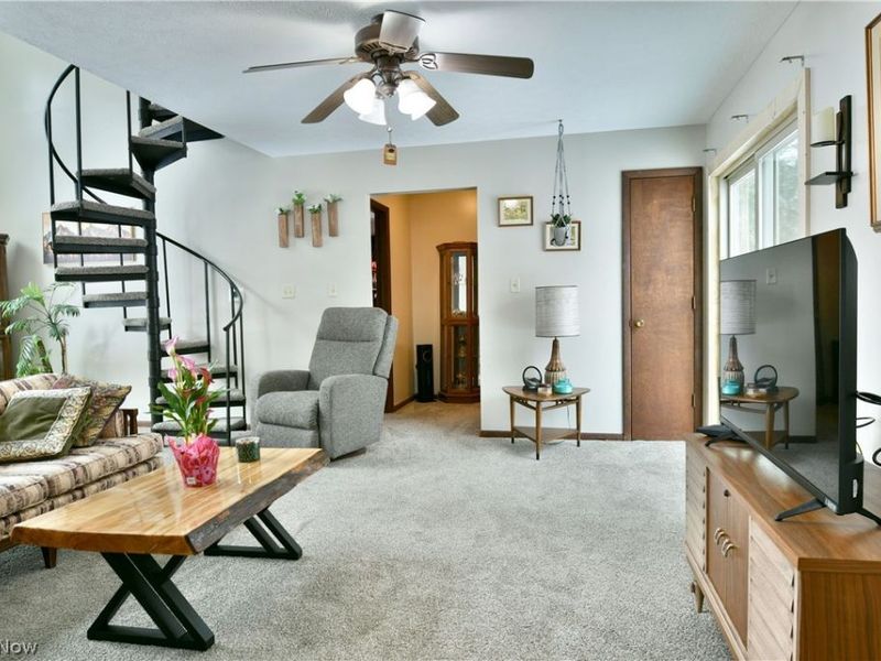 3894 Nelson Mosier Road, Leavittsburg, OH 44430 Photo 26