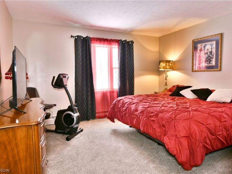 3894 Nelson Mosier Road, Leavittsburg, OH 44430 Photo 35