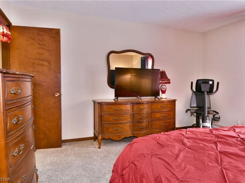 3894 Nelson Mosier Road, Leavittsburg, OH 44430 Photo 37