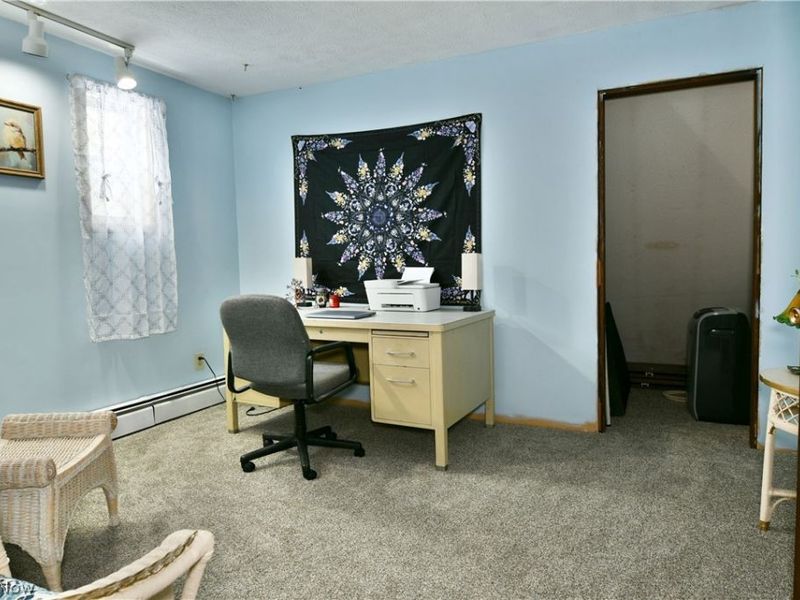 3894 Nelson Mosier Road, Leavittsburg, OH 44430 Photo 49