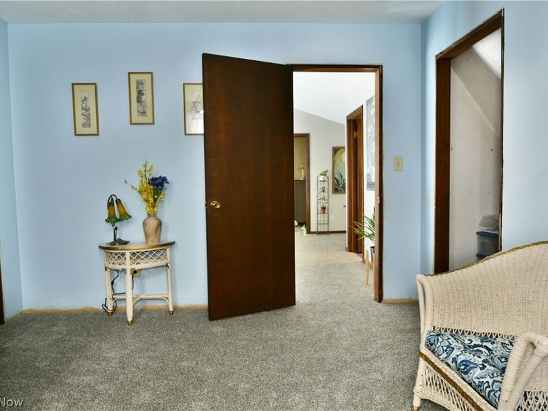 3894 Nelson Mosier Road, Leavittsburg, OH 44430 Photo 50