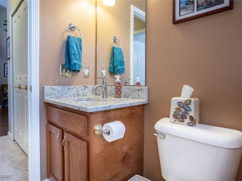 5221 Spruce Pointe Lane, Brunswick, OH 44212 Photo 25