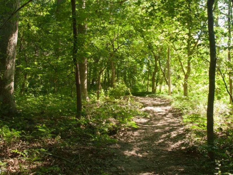1105 Canyon View #303 Road, Sagamore Hills, OH 44067 Photo 37