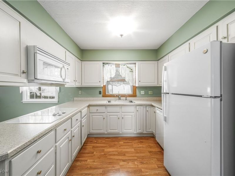 77 Parmelee Drive, Hudson, OH 44236 Photo 10