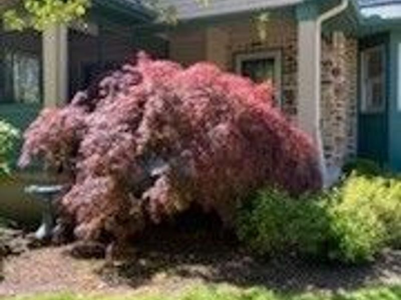 764 Hampton Court, Sagamore Hills, OH 44067 Photo 34