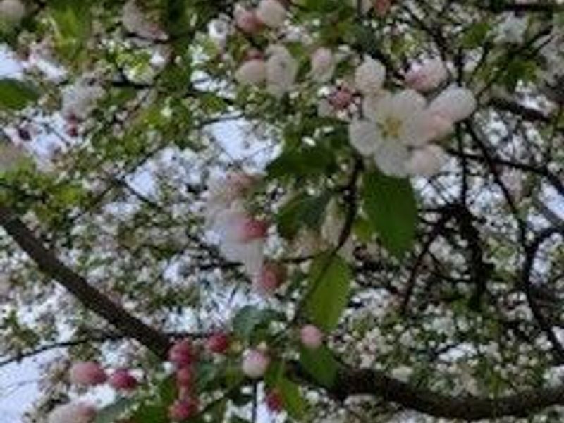 764 Hampton Court, Sagamore Hills, OH 44067 Photo 35