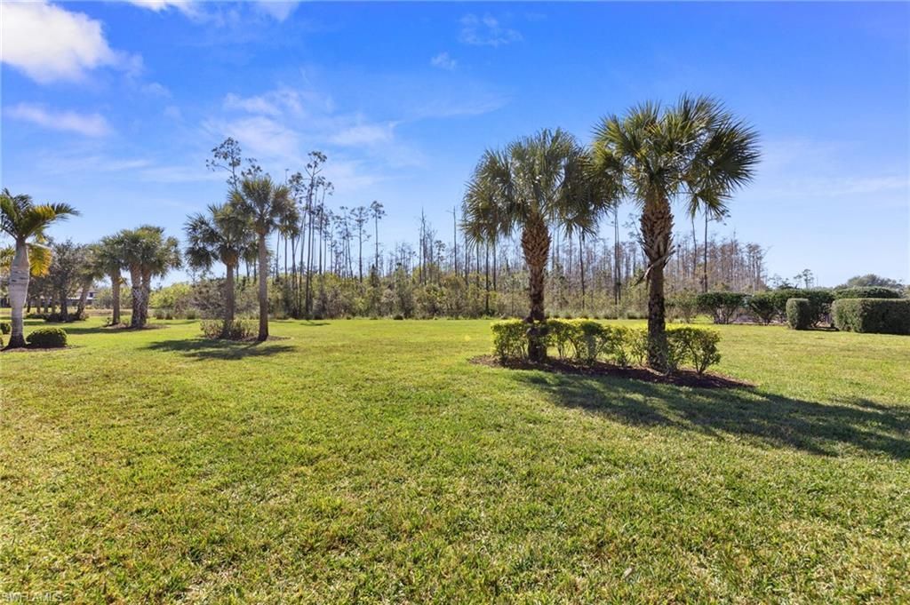 20206 Black Tree Ln, Estero, FL 33928 Photo