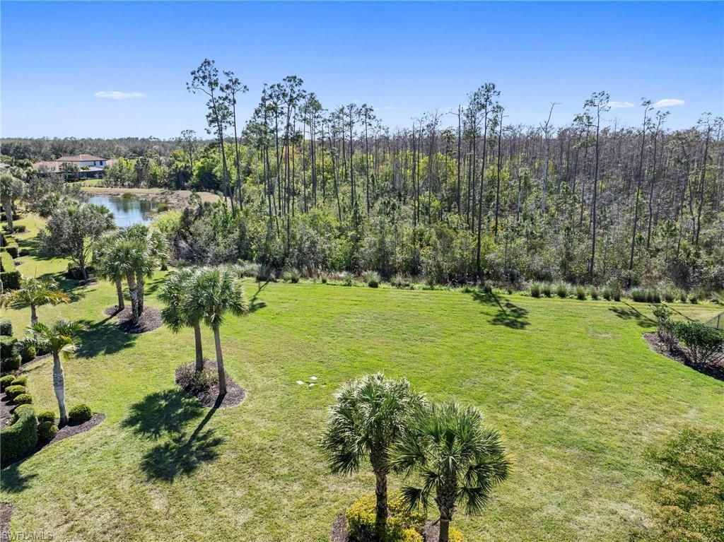 20206 Black Tree Ln, Estero, FL 33928 Photo