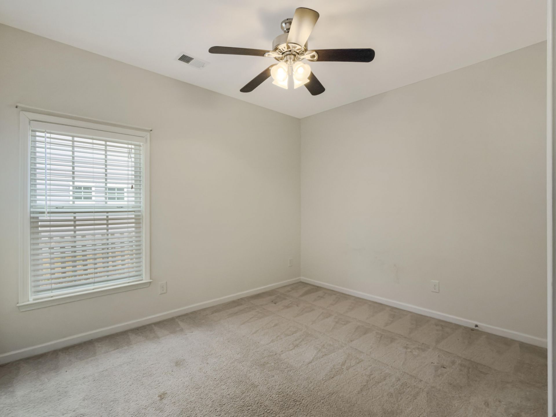 8145 Halbert Drive Photo 20