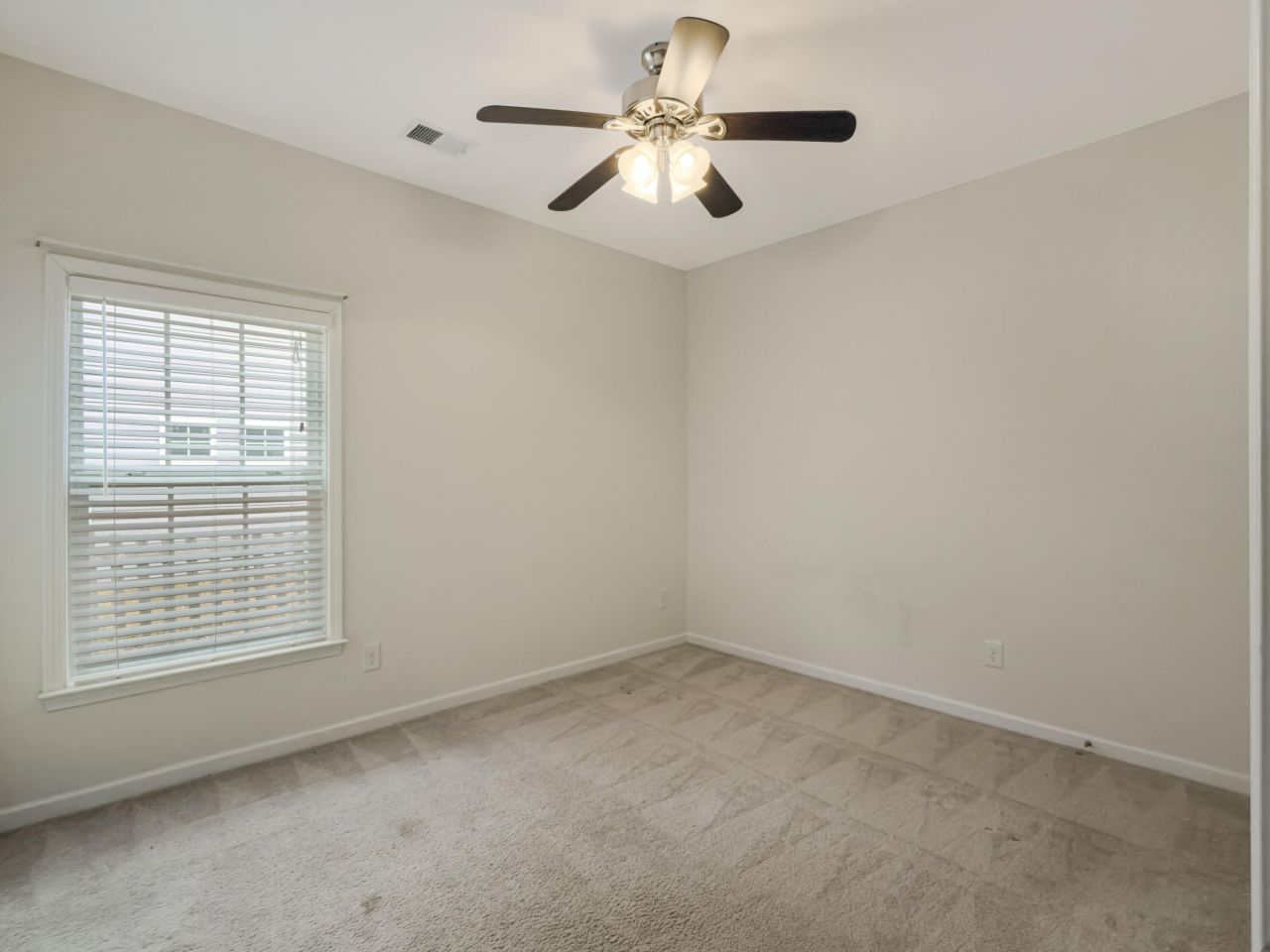 8145 Halbert Drive Photo 22