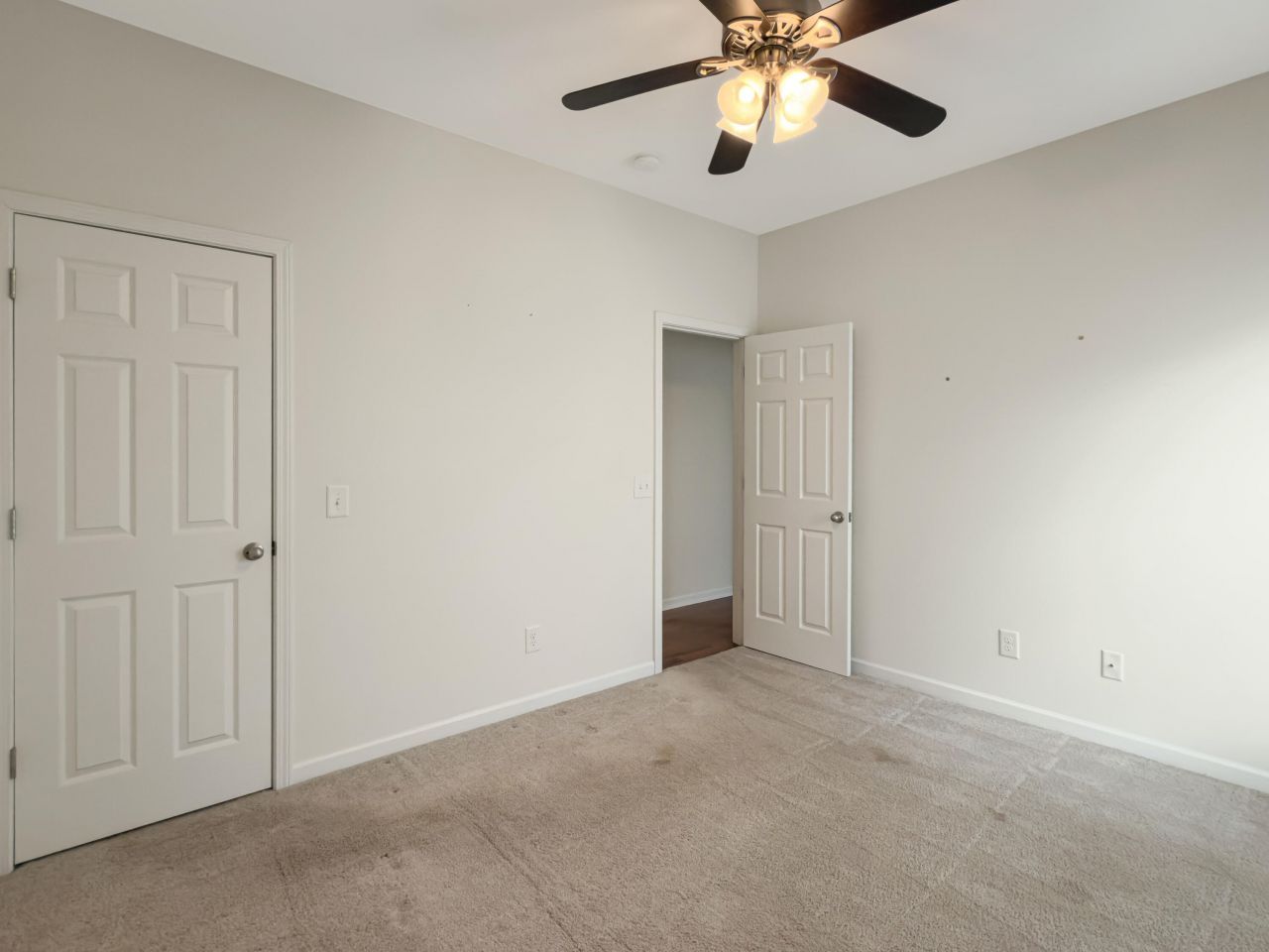 8145 Halbert Drive Photo 23