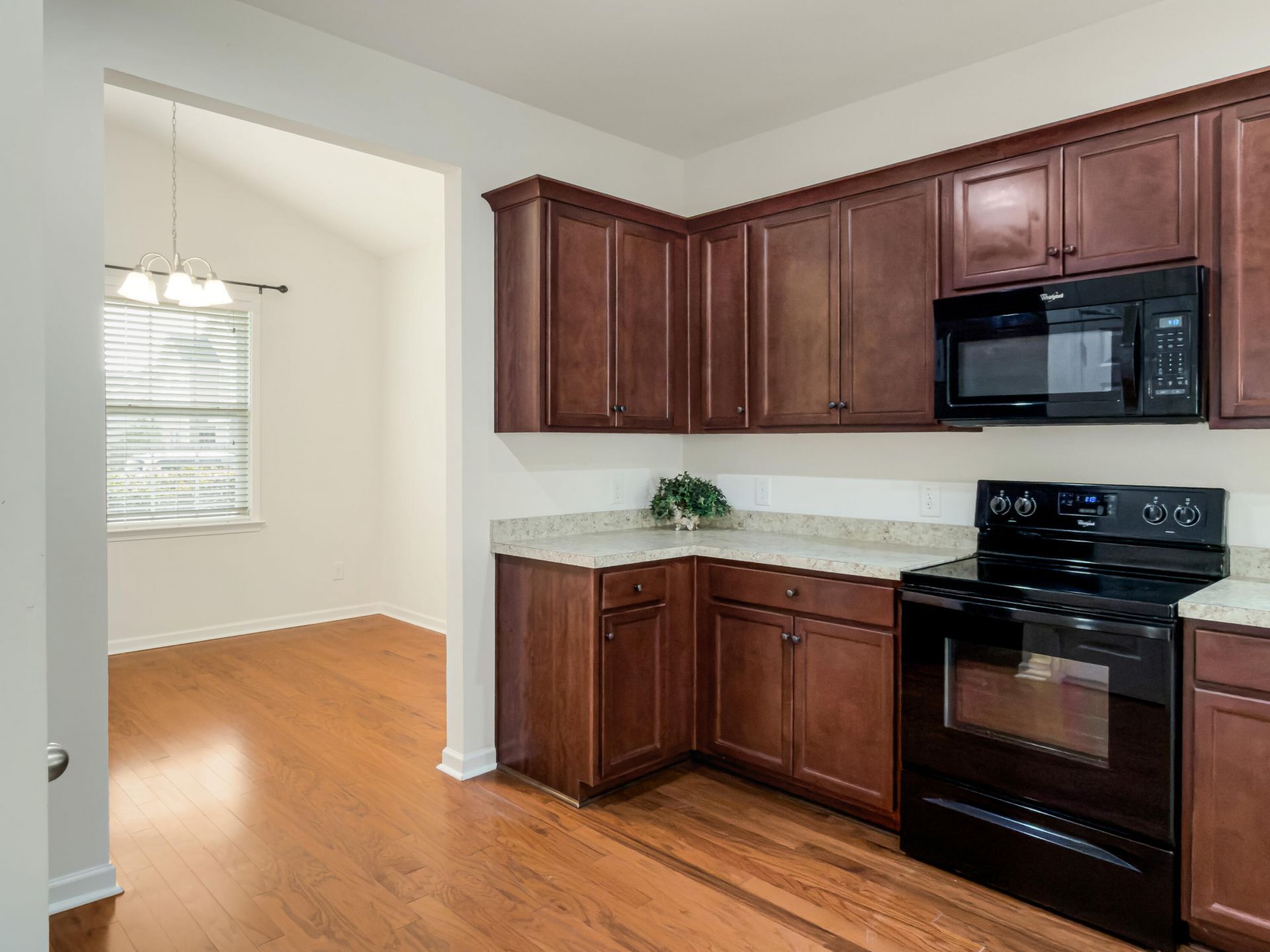 8145 Halbert Drive Photo 9