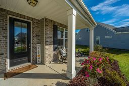 168 Netherfield Drive photo 4