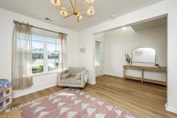 168 Netherfield Drive photo 4