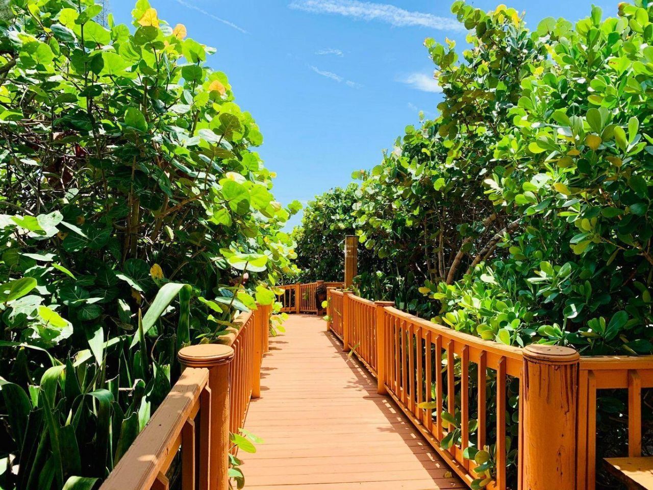 3450 S Ocean Boulevard, Unit 806, Highland Beach, FL 33487 Photo